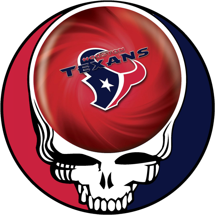 Hoston Texans skull logo iron on transfers